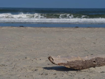 A piece of driftwood lies on sand while waves crash against the beach in the background, juist,