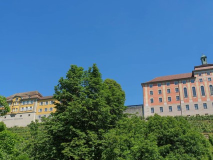 Castle buildings towering over green trees under a clear blue sky, Meersburg, Germany, Europe