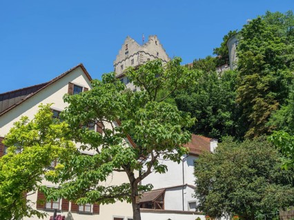 View of a medieval castle on a hill with trees and houses in the foreground on a sunny day,