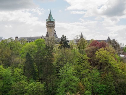A castle with a tower stands surrounded by dense trees under a cloudy sky, Luxembourg City,