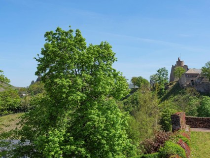 Panorama of a green landscape with a castle, historic buildings and lush trees under a clear sky,