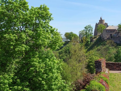 A castle and ruins hidden between green trees, embedded in nature under a clear sky, Saarburg,