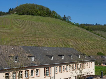 Building on the edge of a large hill with vineyards in a natural landscape on a sunny day,