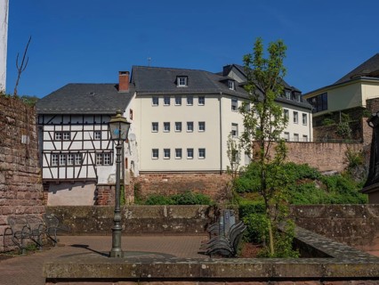 Town view with half-timbered house and historical buildings, detail of a square with nature,