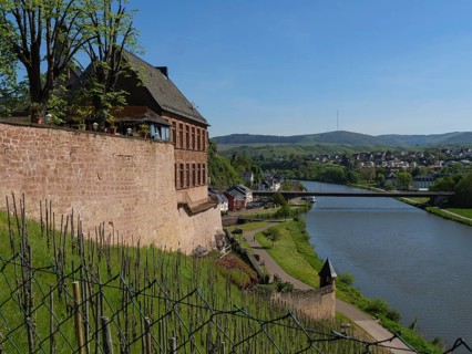 View of a river flanked by an old wall and buildings that blend into the landscape, Saarburg,
