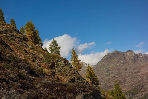 Autumnal mountain landscape with groups of trees and rocks under a blue sky with scattered clouds,