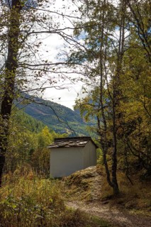 A small hut stands in the forest, surrounded by autumnal trees and a narrow path, Saas Fee,