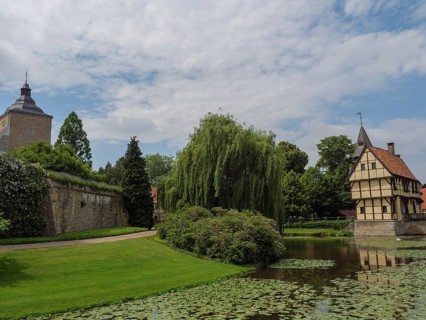 A half-timbered house and a tower by a river with water lilies, surrounded by trees and meadows,