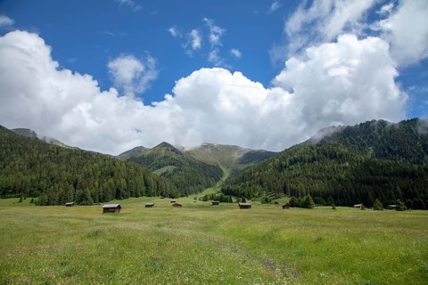 Pfundser Schey, Pfunds, Tyrolean Oberland, Austria, Europe