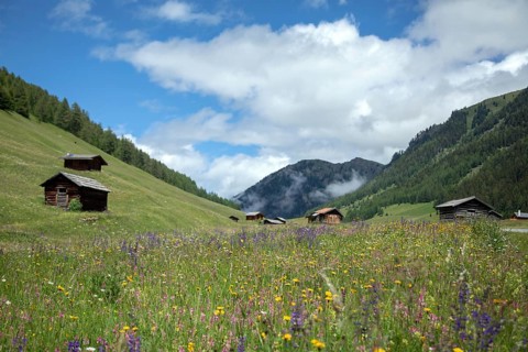 Pfundser Schey, Pfunds, Tyrolean Oberland, Austria, Europe