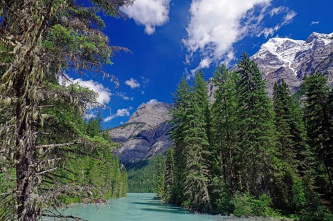 Picturesque mountain landscape with emerald green river, surrounded by tall, dense trees and clear