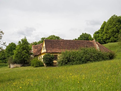 Farmstead in a flower meadow, near Riegersburg, Styria, Austria, Europe