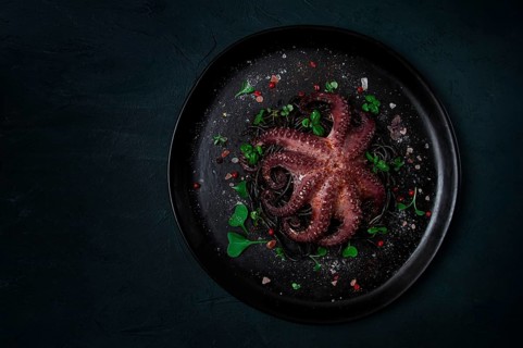 Octopus with black spaghetti, pasta, spices and herbs, top view, no people
