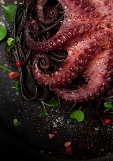 Octopus with black spaghetti, pasta, spices and herbs, top view, no people