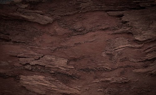Background, walnut bark, wood texture, Horizontal, close-up, Rustic