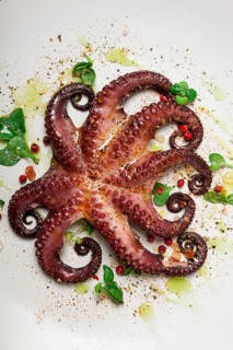 Boiled octopus, close-up, rustic style, no people, top view, close-up