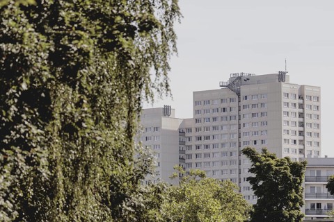 Blocks of flats in the countryside, photographed in Berlin, 07/08/2024