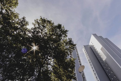 The sun shines through a green area in front of a block of flats, taken in Berlin, 07/08/2024