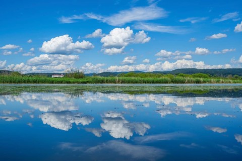 Landscape of Danubia river with reflection of the landscape and Clouds, Castle of Wörth an der