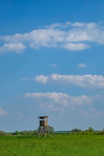 An hunting blind stands on a tall meadow, above it clouds in the sky near Pfatter, Upper