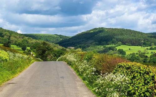 Farms in North York Moors National Park, Yorkshire, England, United Kingdom, Europe