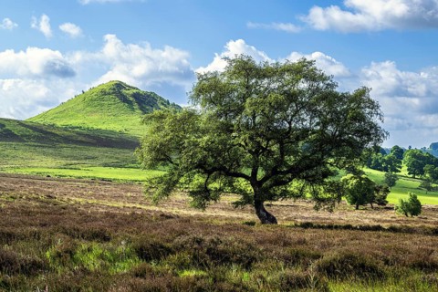 Farms and Moors in North York Moors National Park, Yorkshire, England, United Kingdom, Europe