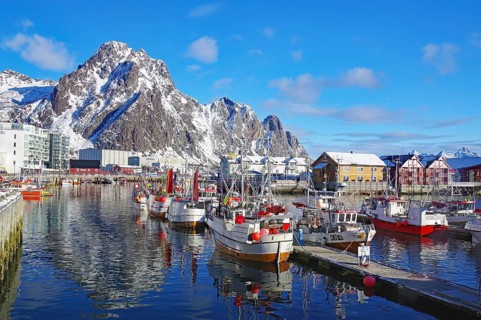 Harbour with boats and snowy mountains in the background, surrounded by a lively town and clear