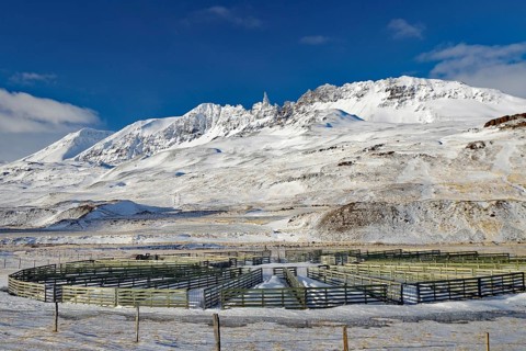 Snow-covered mountains behind a circular fence under a blue sky, winter, Öxnadalur, Akureyri,