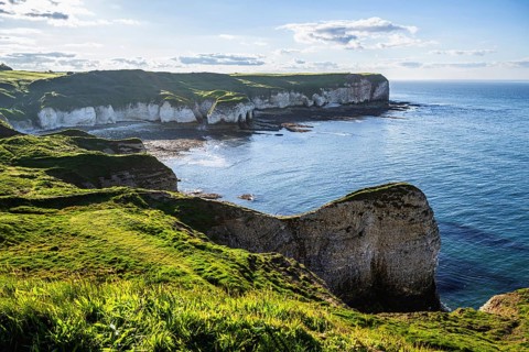 Cliffs over Flamborough Seawatch Observatory, Flamborough, Yorkshire, England, United Kingdom,