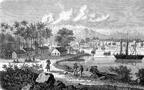 The town of Pointe a Pitre, Pointe-a-Pitre, on the island of Guadeloupe, Lesser Antilles, in 1878,