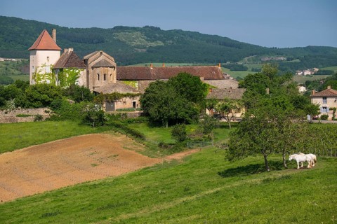 Le château des Moines, castle and chapel, chapel of the monks, chapel of a former Cluniac priory,