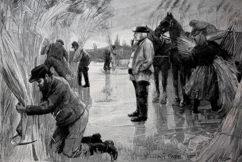 Farmers harvesting reeds on the frozen Havel, near Wittenberge in Germany, in 1895, Historical,