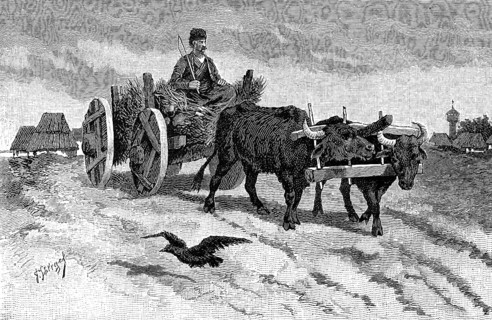 Ox team of a farmer from Bulgaria in 1880, historical, digital reproduction of an original from the