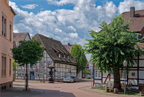 Half-timbered houses on Halbmondstrasse in the centre of Holzminden. Weserbergland, Lower Saxony,