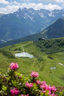 Alpine rose blossom, panorama from the Fellhorn over the Schlappoldsee and mountain station of the