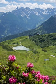 Alpine rose blossom, panorama from the Fellhorn over the Schlappoldsee and mountain station of the