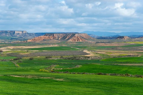 Extensive green fields and hilly landscape under a cloudy sky, Bardenas Reales Natural Park,