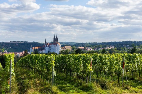 Proschwitz Castle is a castle in the neo-baroque style in the Meissen district of Proschwitz in the
