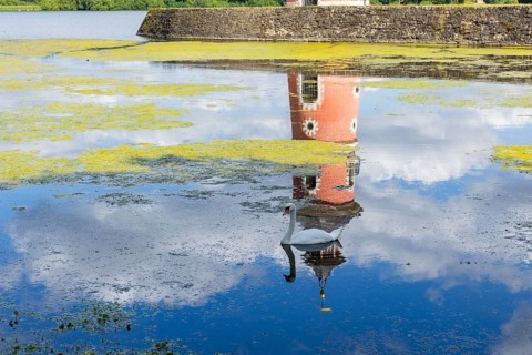 Lighthouse at the Fasanenschlösschen, Moritzburg, Moritzburg, Saxony, Germany, Europe
