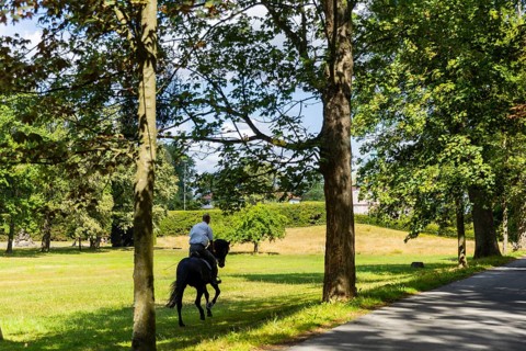 Rider at the Fasanenschlösschen The Fasanenschlösschen is a castle complex in the municipality of