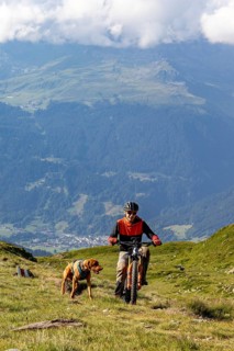 Mountain biker with traildog, man with Vizsla dog on a bike trail, Pischa, Hüreli above Davos,