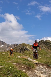 Mountain biker with traildog, man with Vizsla dog on a bike trail, Pischa, Flüela Pass, Grisons,