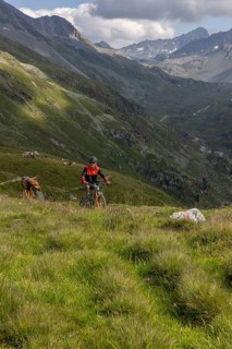 Mountain biker with traildog, man with Vizsla dog on a bike trail, Pischa, Flüela Pass, Grisons,