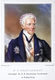 Franz Gabriel Graf von Bray or François Gabriel de Bray, also Debray (born 25 December 1765 in