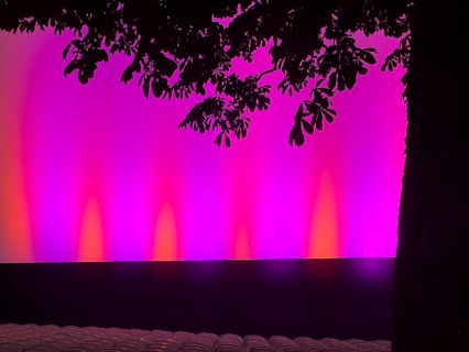 A tree in front of a purple and pink illuminated stage with shadows and foliage in the evening mood