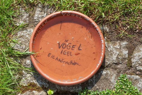 Water-filled bowl on the ground as a drinking trough for birds, hedgehogs and squirrels, Germany,