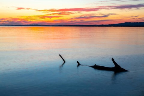 Tree trunk in the water in front of sunset, deadwood, Lake Constance, Langenargen,