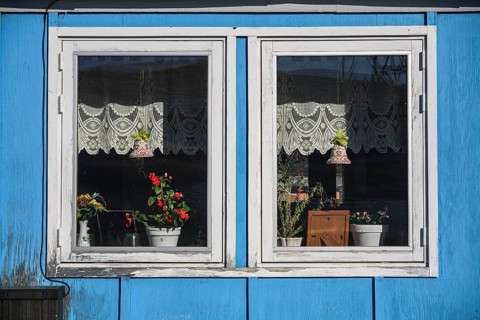Window with flowers on a typical Greenlandic house, Qeqertaq, Disko Bay, West Greenland, Greenland,