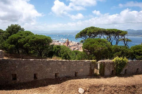 View over the roofs of Saint Tropez with the church Notre-Dame de l'Assomption, behind it the bay