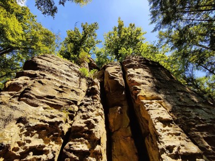 View along the Teuflische Acht hiking trail, Ferschweiler Plateau, Naturpark Südeifel, Irrel,